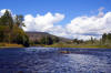 Scenic /  Rogue River Steelhead Fly Fishing / Rogue River steelhead fly fishing guide