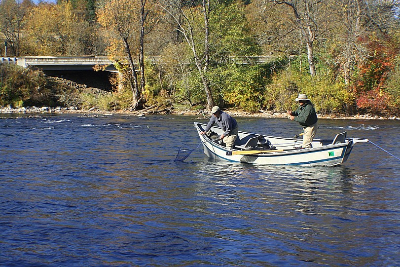 Preparing for the capture / Michael Gorman photo / McKenzie River guide