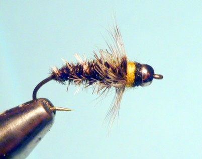 Nickel Bead Caddis Larva / Michael Gorman / McKenzie River Fishing Guide