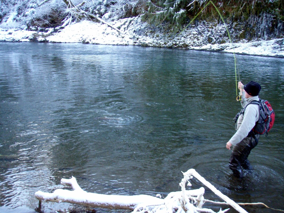 Frozen Finger Fight / Michael Gorman / McKenzie River Fishing Guide