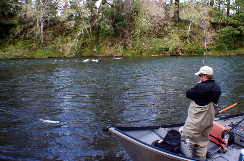 Mike Frey steelhead battle / Michael Gorman photo / McKenzie River Fishing Guide