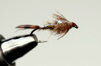 Flashback Hare's Ear Nymph / Michael Gorman / McKenzie River Fishing Guide