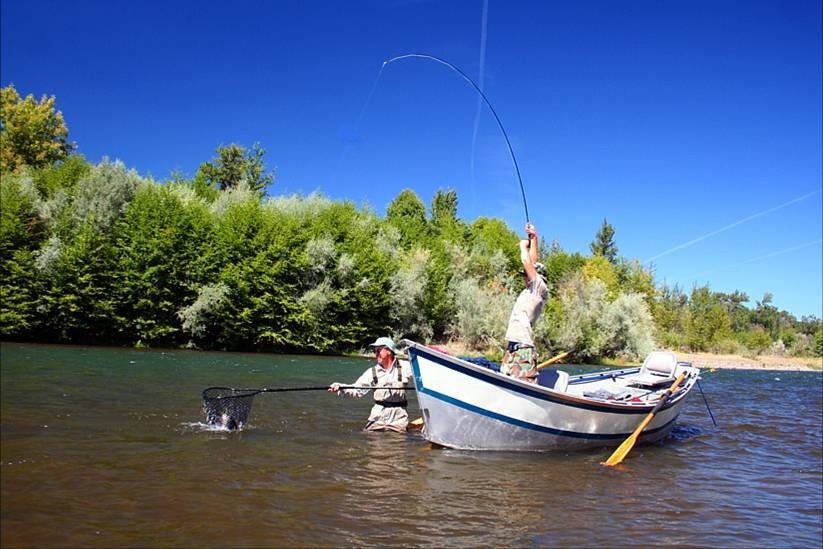 Reach for the sky! / McKenzie River Fly Fishing Guide
