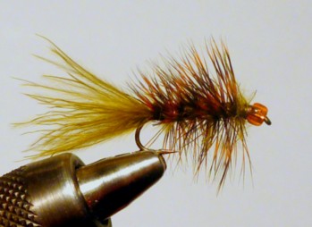 Leech L'Orange / Michael Gorman / Mckenzie River Fishing Guide
