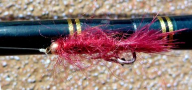 Micro Leech / Michael Gorman / McKenzie River Fishing Guide