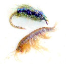 Scud and Fake / Michael Gorman / Mckenzie River Fishing Guide