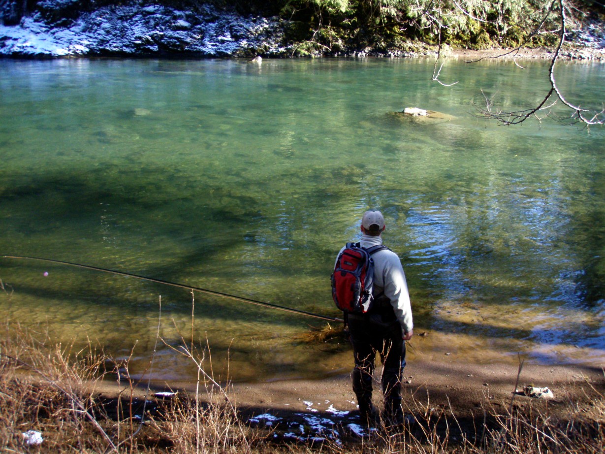 Steelhead Search / Michael Gorman photo / McKenzie River Fishing Guide