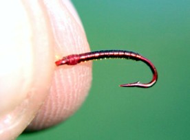 Skinny Red Fly / Michael Gorman / McKenzie River Fishing Guide
