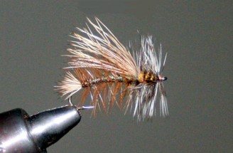 Stimulator / Michael Gorman / McKenzie River Fishing Guide