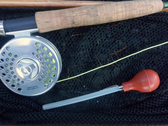 Stomach Pump / Michael Gorman / McKenzie River Fishing Guide