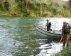 David Zajicek bent rod / Siletz River Steelhead / Siletz River Steelhead Fishing guide