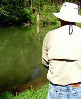 Keep the rod tip low / Michael Gorman / McKenzie River Fishing Guide