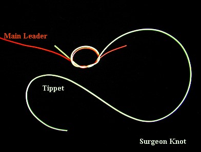 surgeon knot / McKenzie River Fly Fishing / McKenzie River Fly Fishing Guide