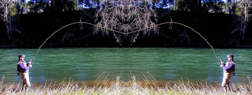 Fighting in stereo / Siletz River steelhead fly fishing guide / McKenzie River fly fishing guides